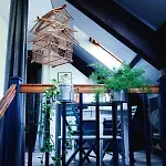 Alojamento de Acomodação e Pequeno-almoço Des Mondfänger *