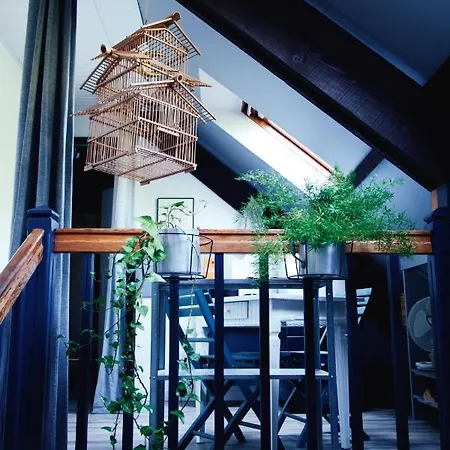 B&B Des Mondfaenger *