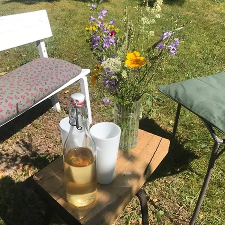 Des Mondfänger Meisenthal