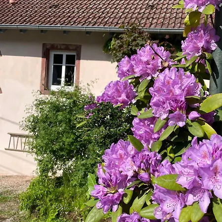 Des Mondfänger Couette-café Meisenthal