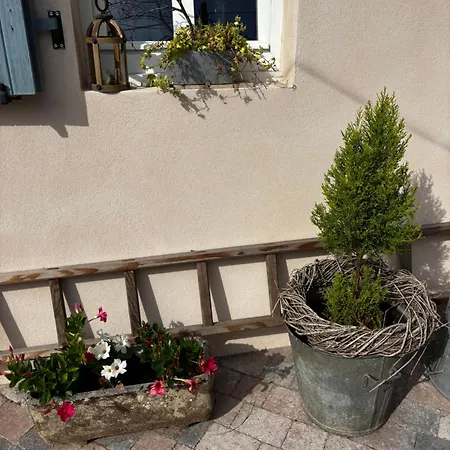 Des Mondfaenger * Meisenthal