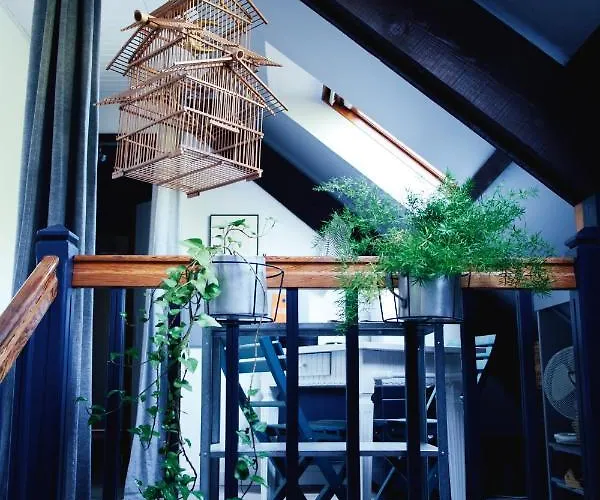 Bed & Breakfast Des Mondfaenger *