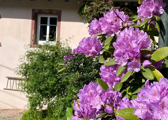 Des Mondfaenger Bed & Breakfast Meisenthal
