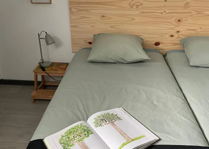 Oda ve Kahvaltı Des Mondfaenger